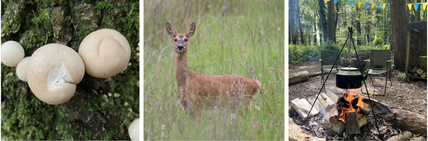 Some nature from around the project